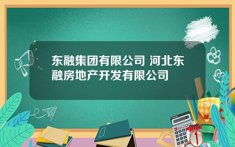 东融集团有限公司 河北东融房地产开发有限公司